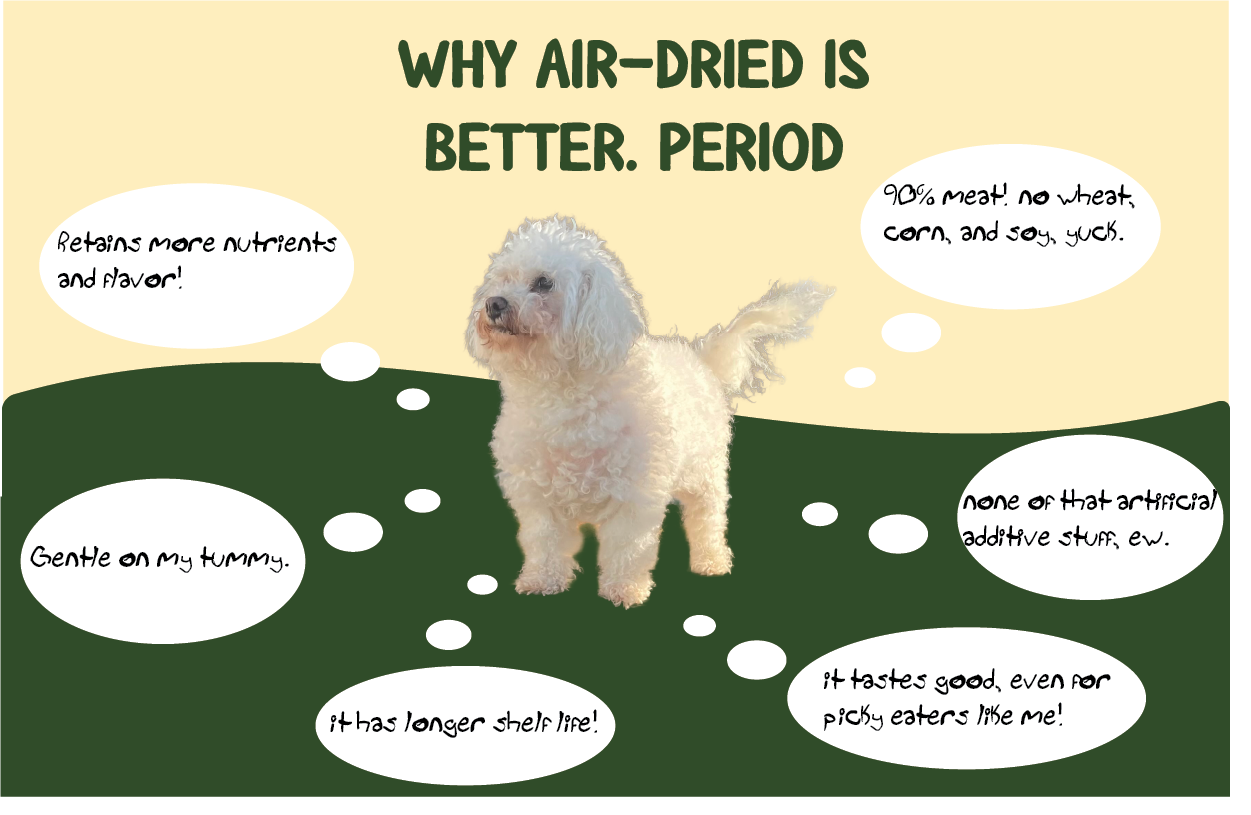 Air-dried dog food infographic