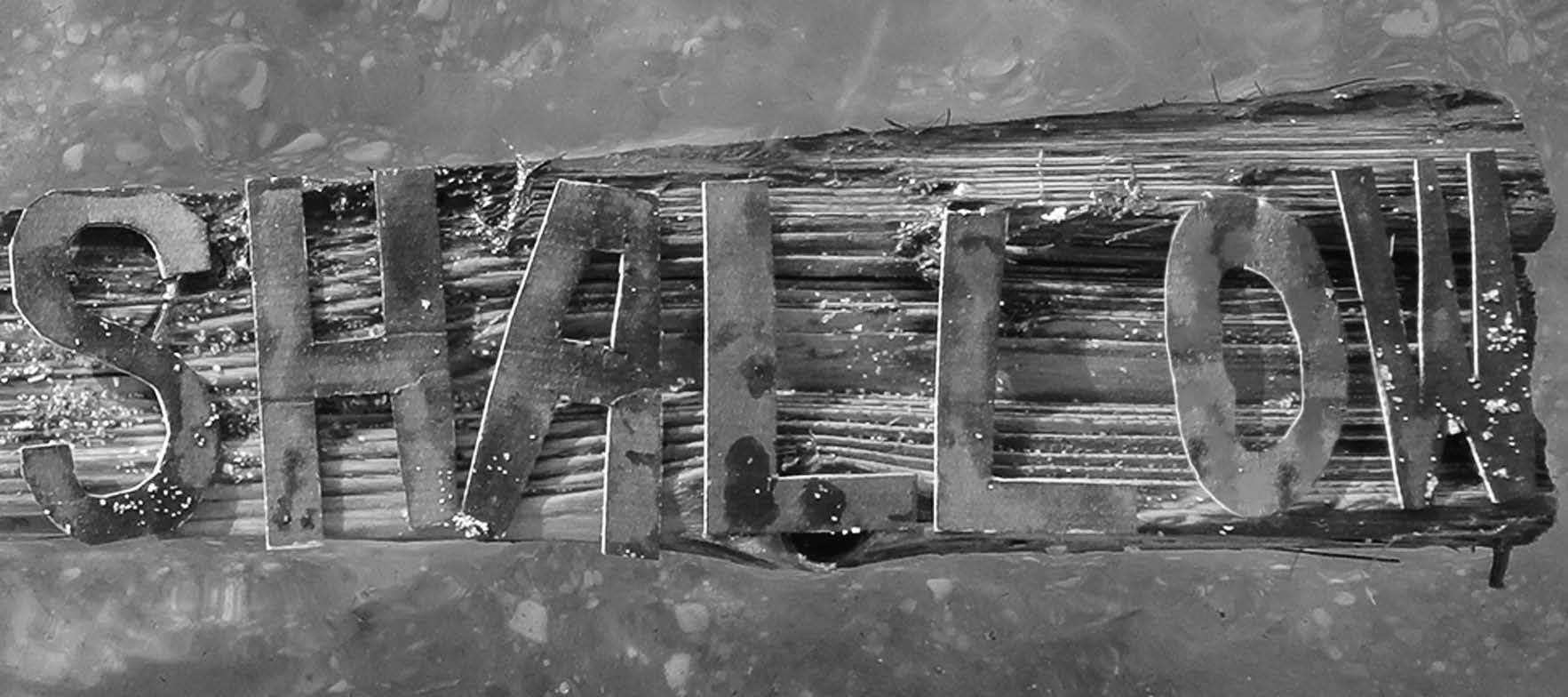 Shallow on drift wood