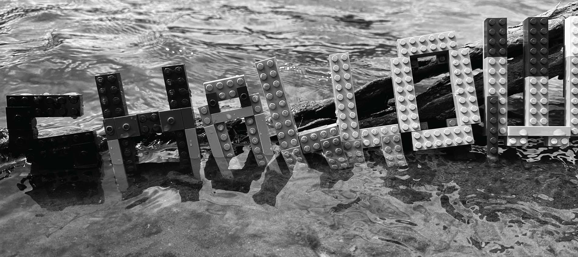 Shallow built with Legos