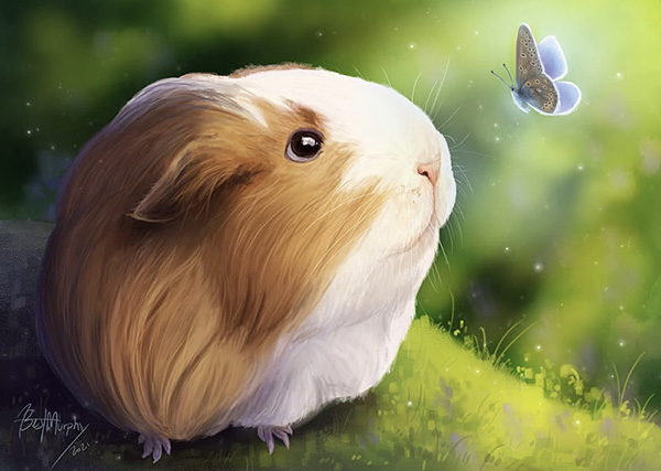 Digital pet portrait of Catalane the guinea pig for the organization Art While Apart. Catalane is looking up at a common blue butterfly.