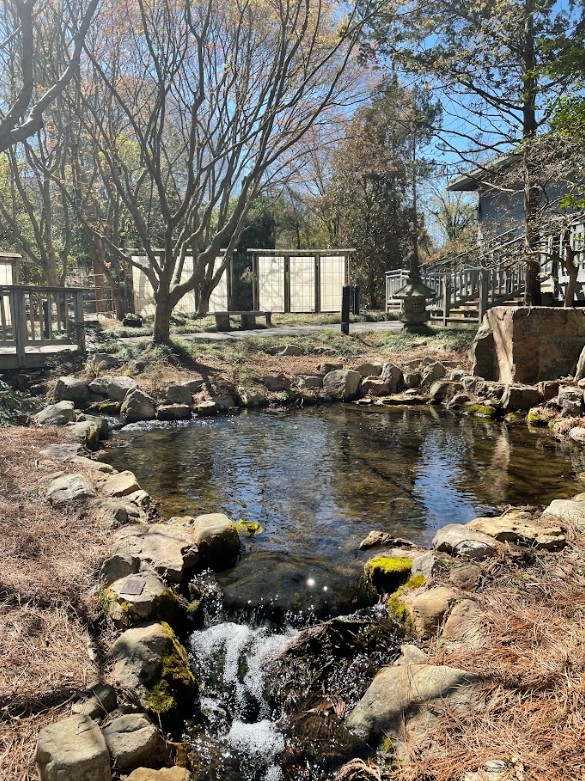 pond