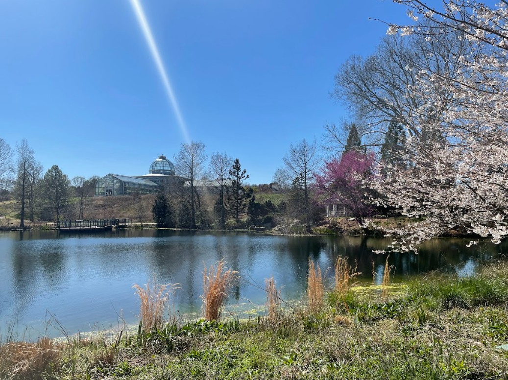 pond with building in the background