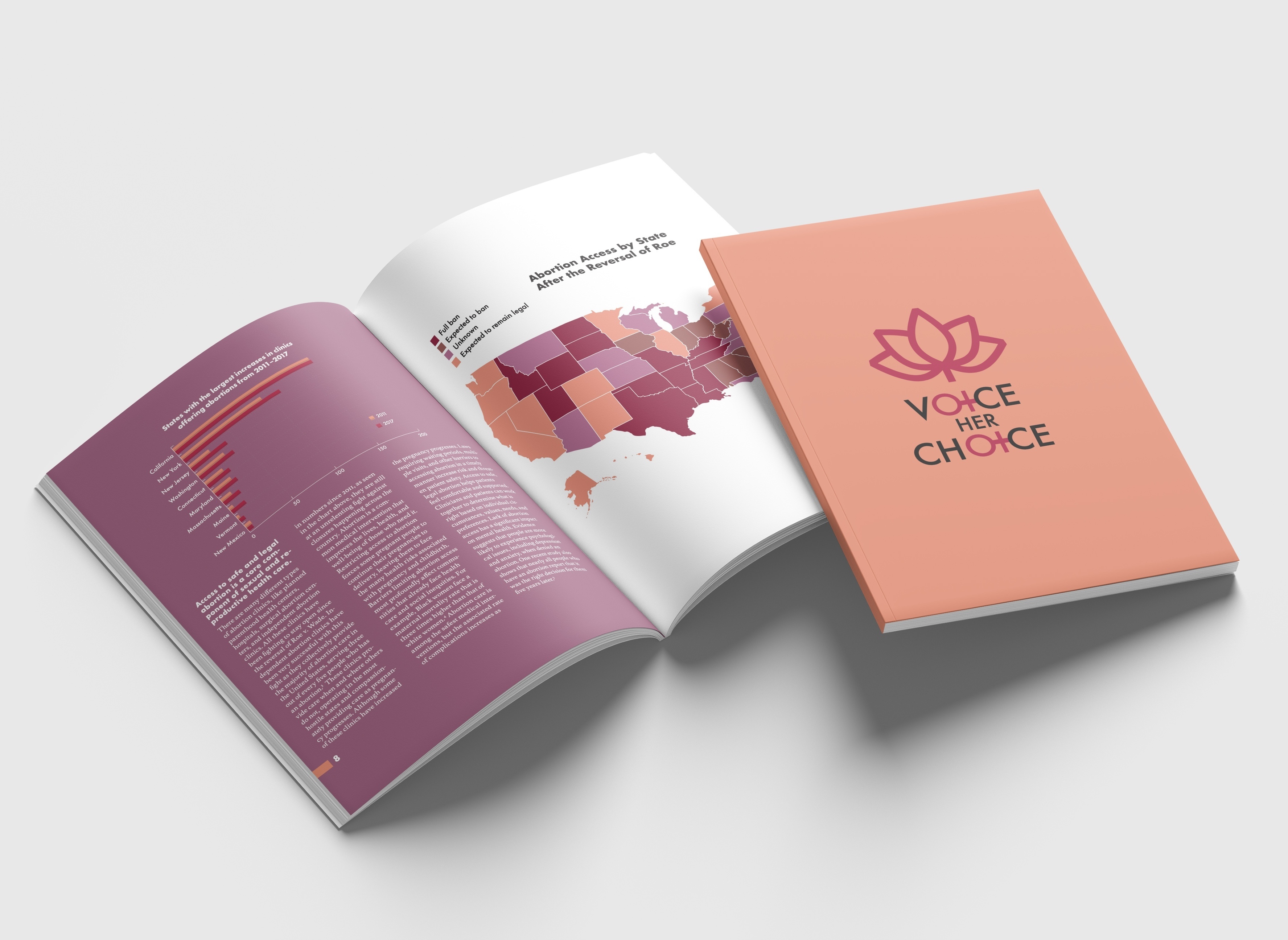 voice her choice booklet