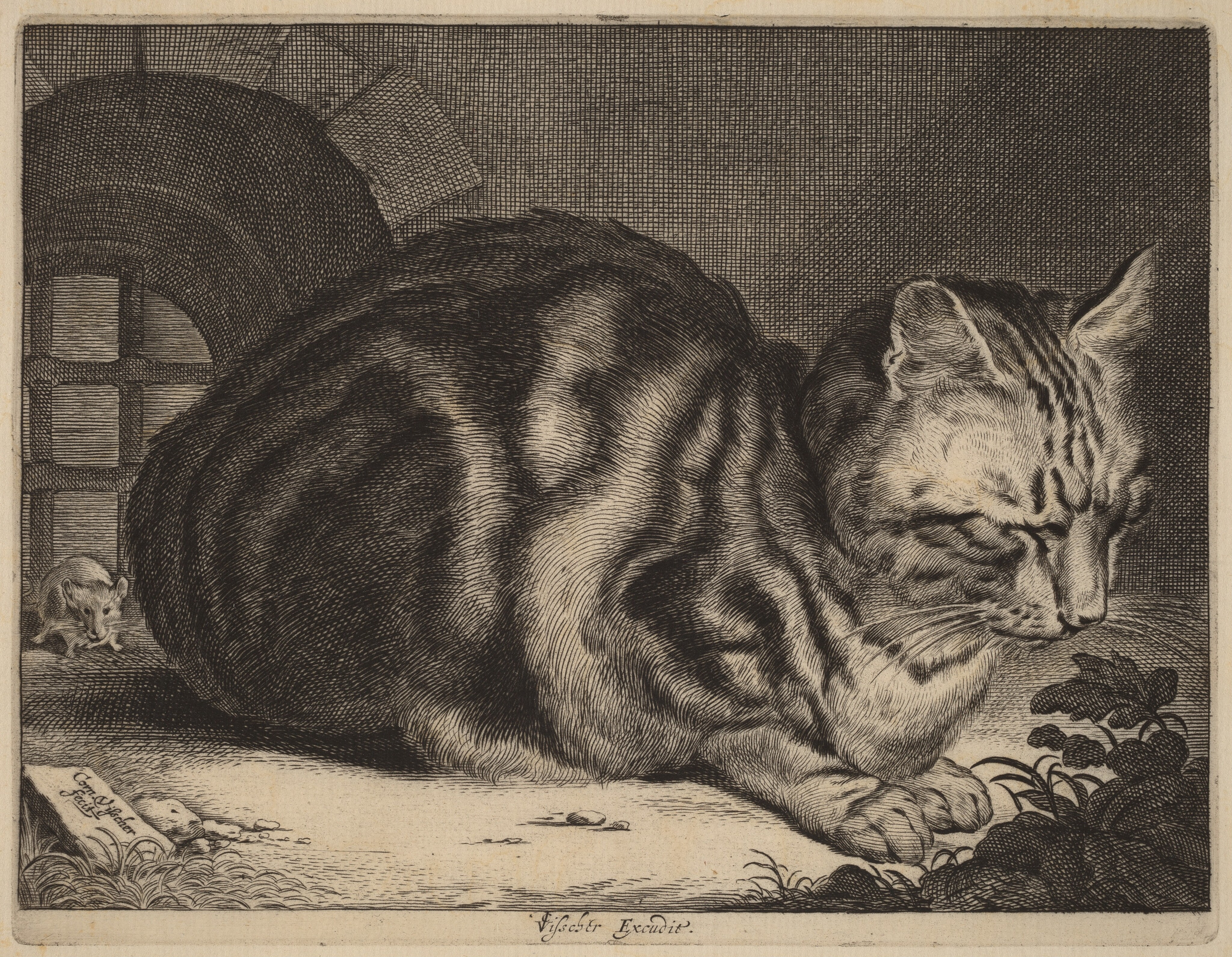 Detailed etching of a large cat sitting with its eyes closed