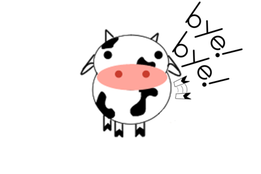 cow picture