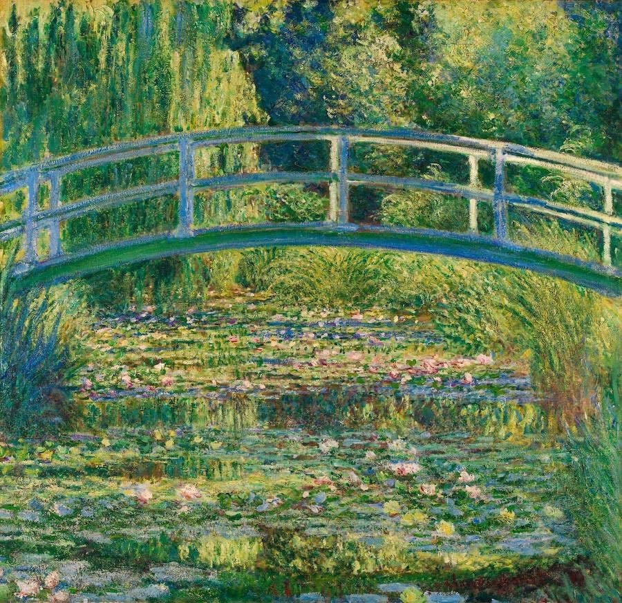 Water Lily Pond