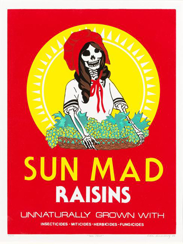 sun mad